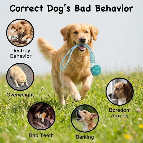 Interactive Dog Toy for Small & Medium Dogs Durable Tug of War Rope with Rubber Ball for Training & Outdoor Play (Blue)